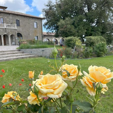 Villa Paladini Montefiascone Extérieur photo