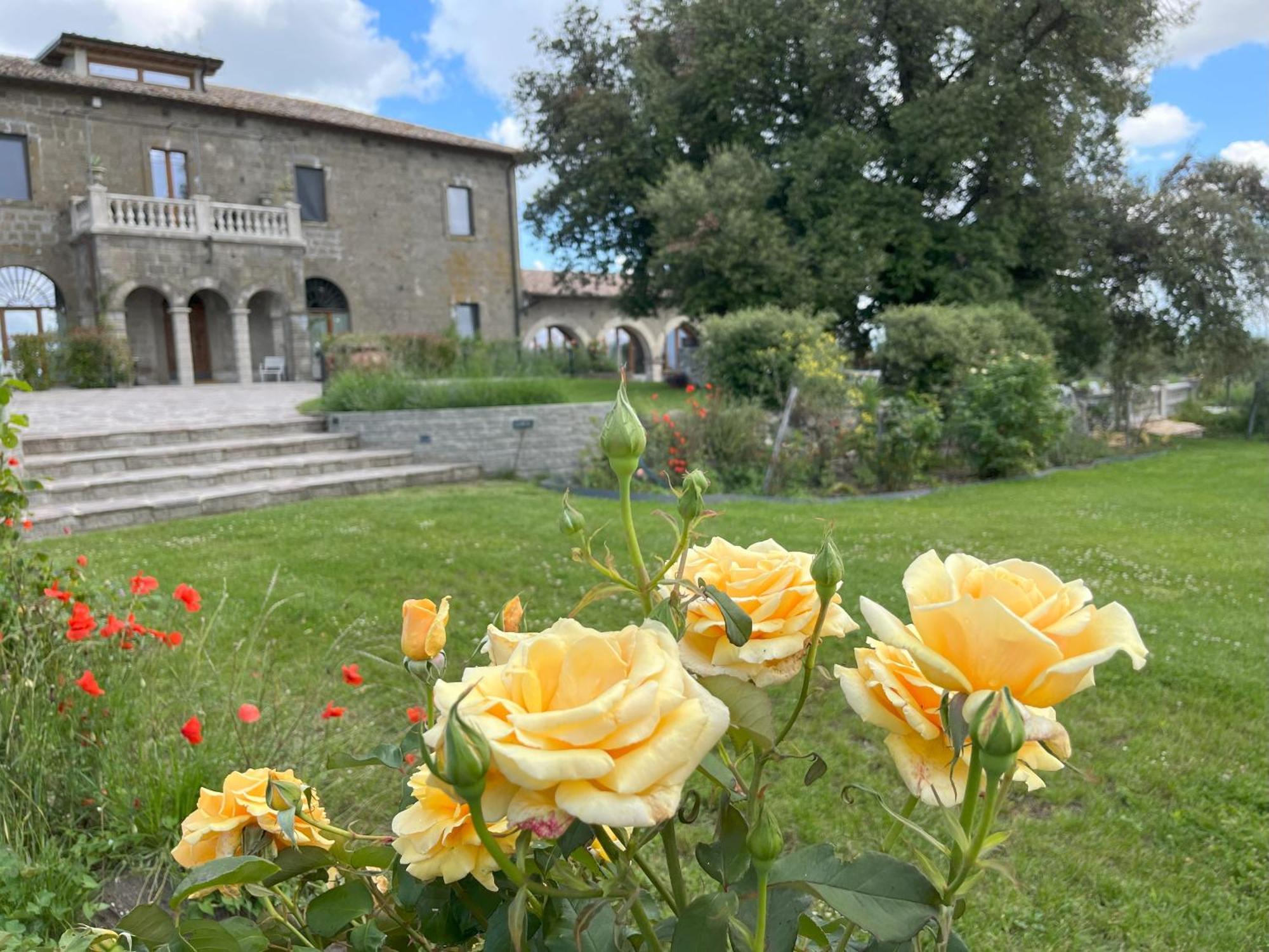 Villa Paladini Montefiascone Extérieur photo