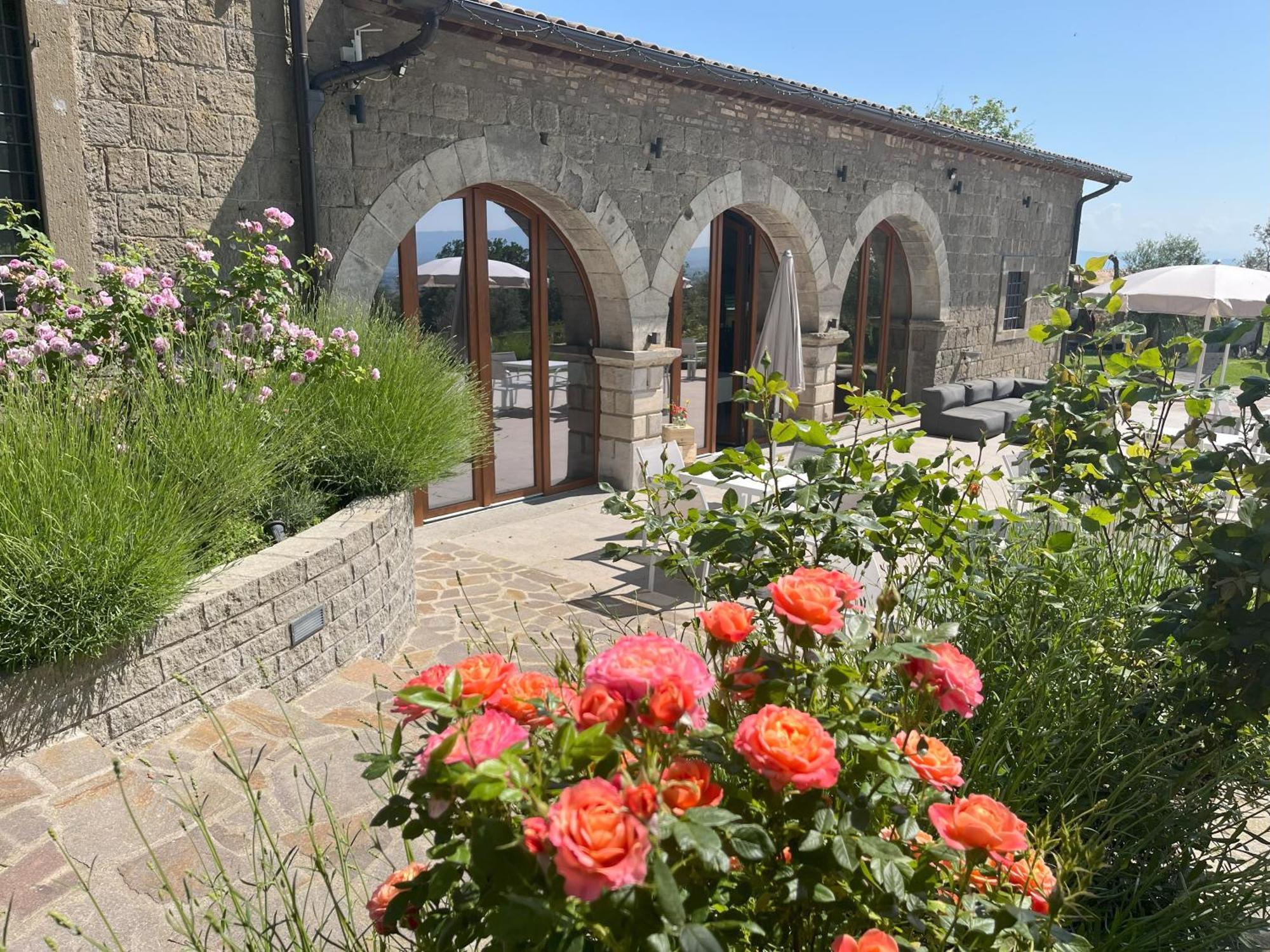 Villa Paladini Montefiascone Extérieur photo