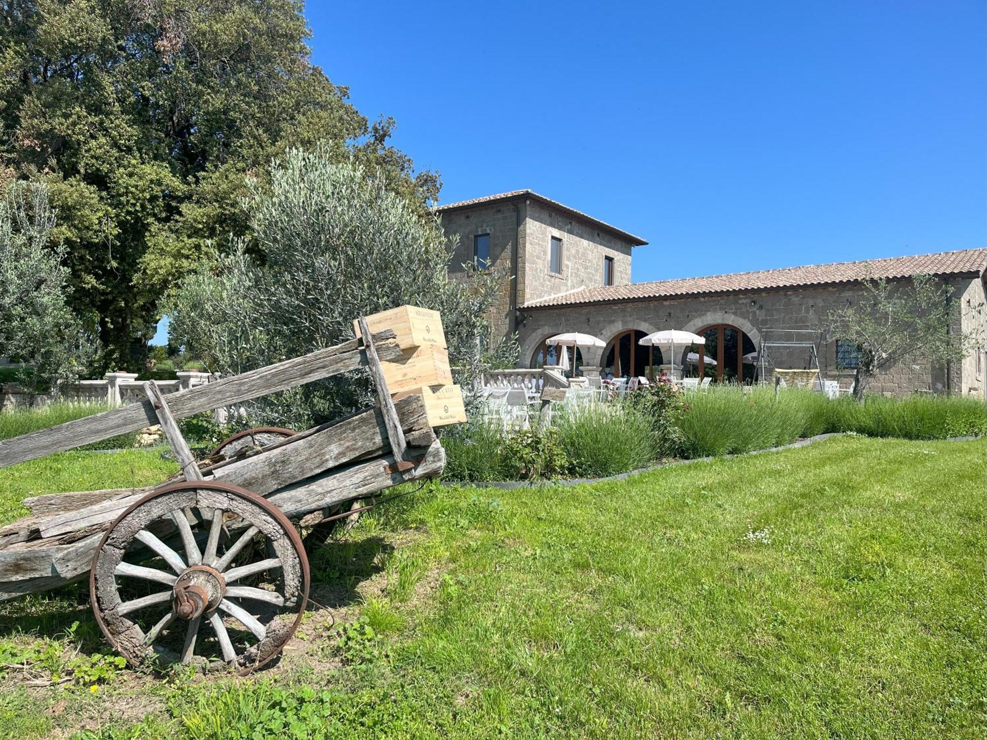 Villa Paladini Montefiascone Extérieur photo