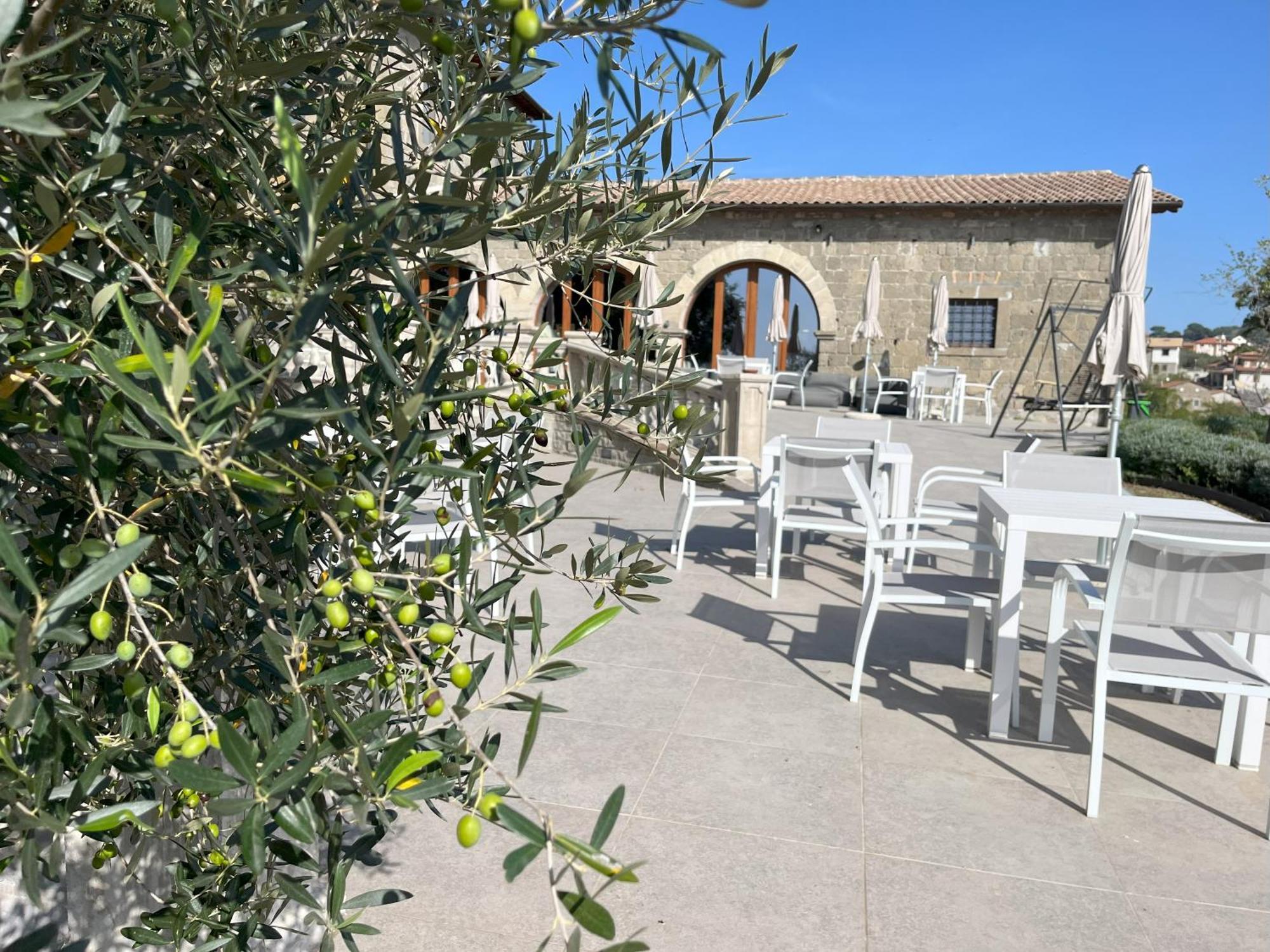 Villa Paladini Montefiascone Extérieur photo