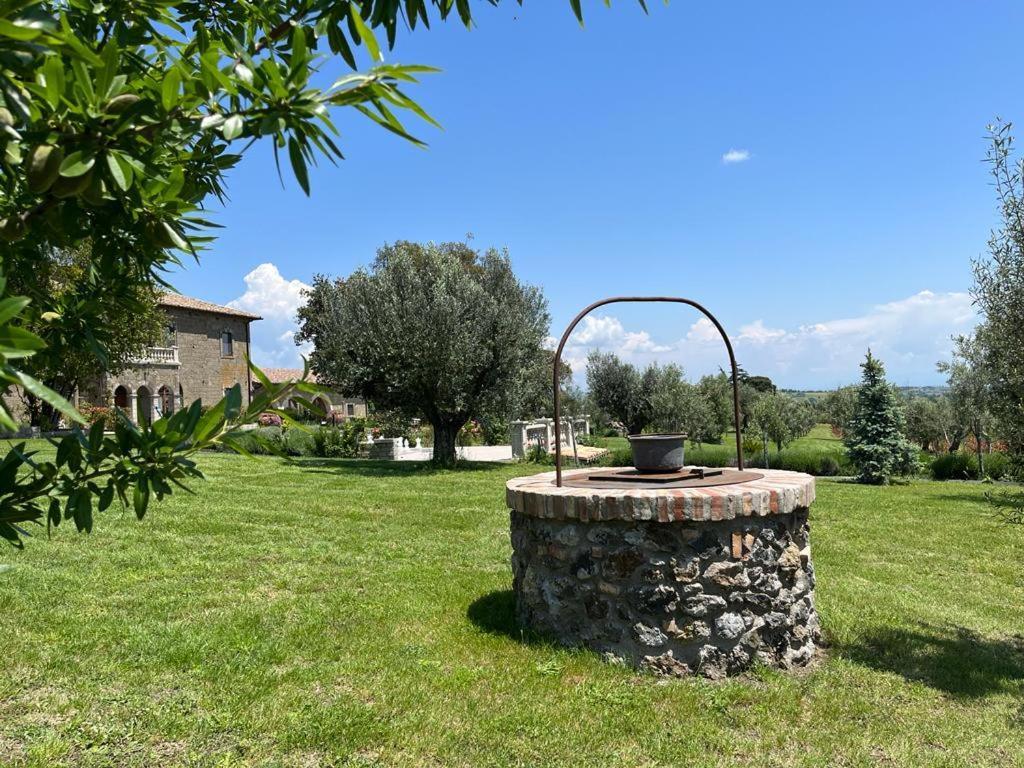 Villa Paladini Montefiascone Extérieur photo