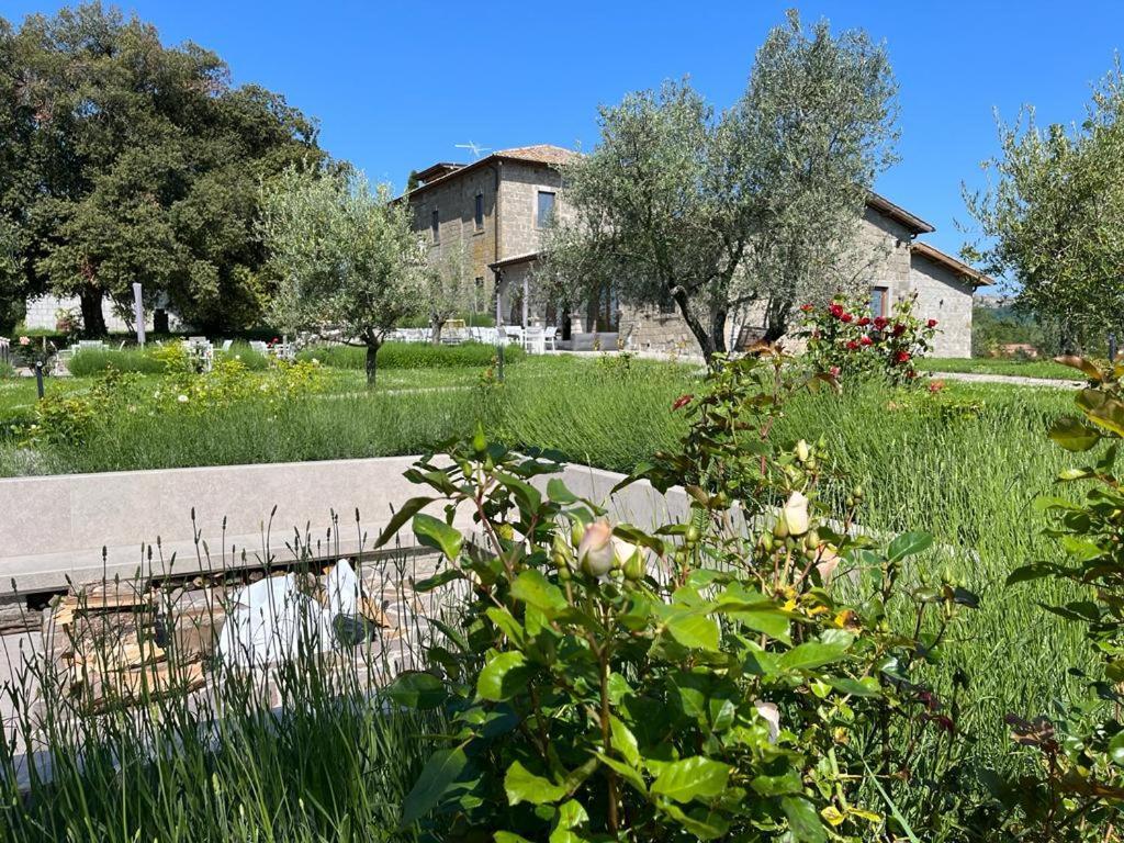 Villa Paladini Montefiascone Extérieur photo