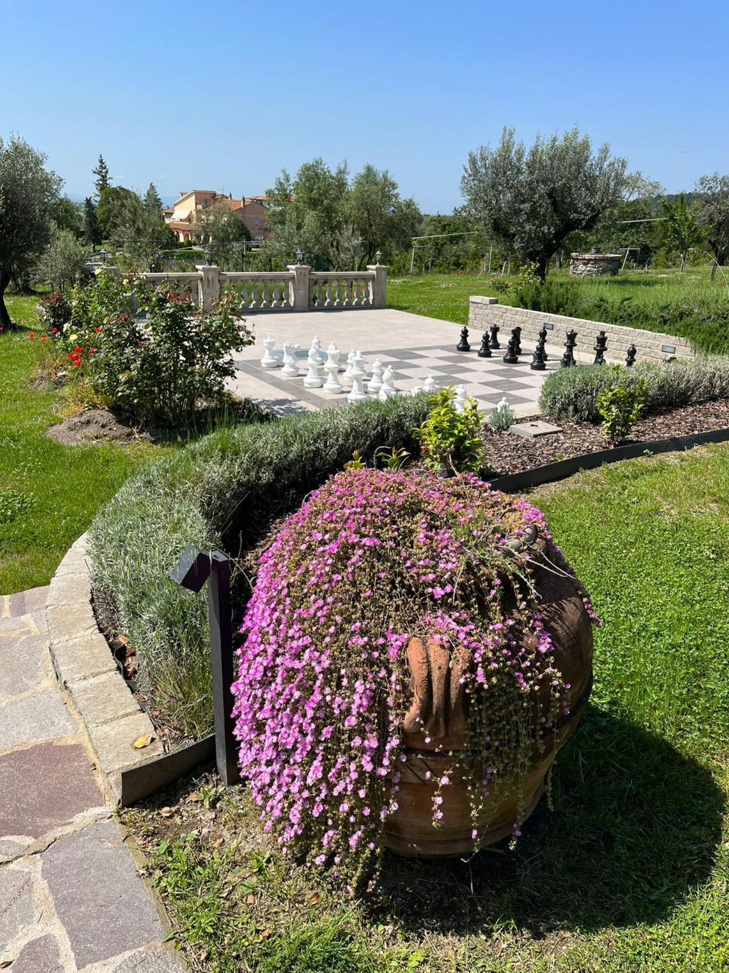 Villa Paladini Montefiascone Extérieur photo